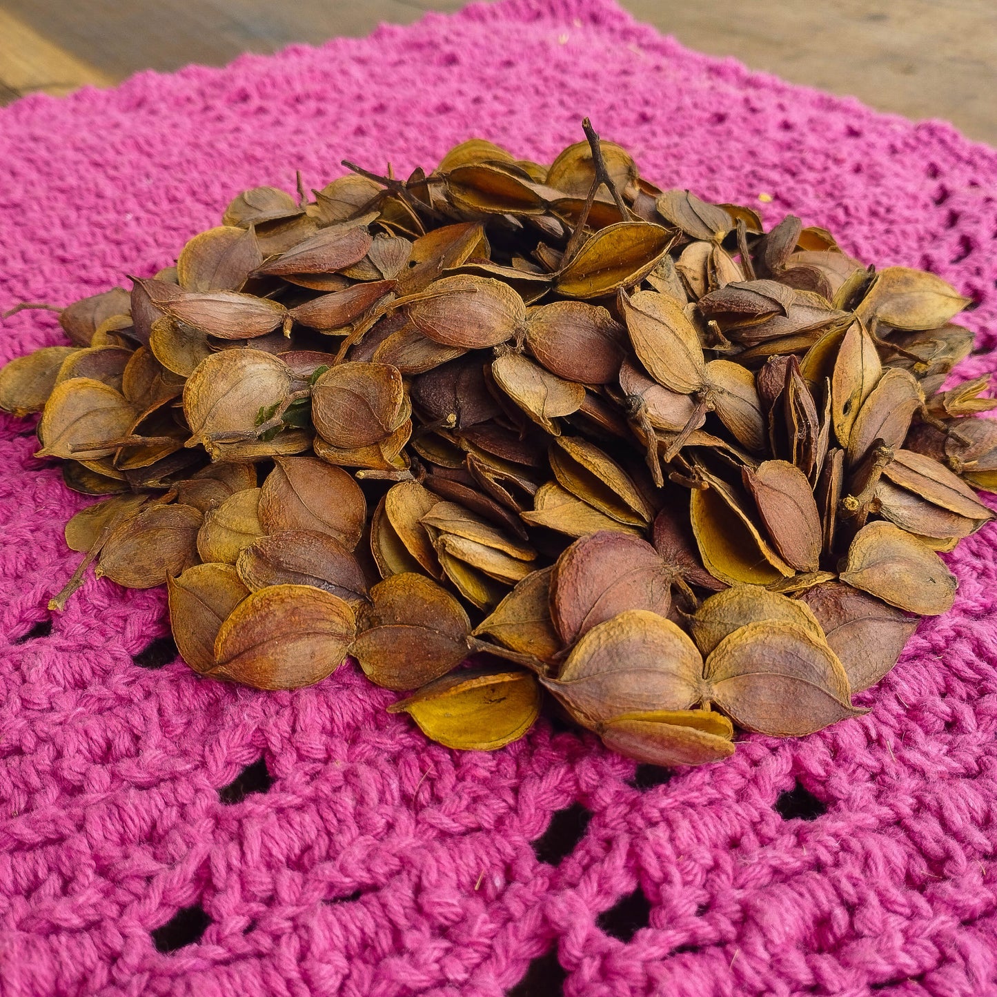 Casca Perobinha - Sempre vivas - Natural e Desidratado