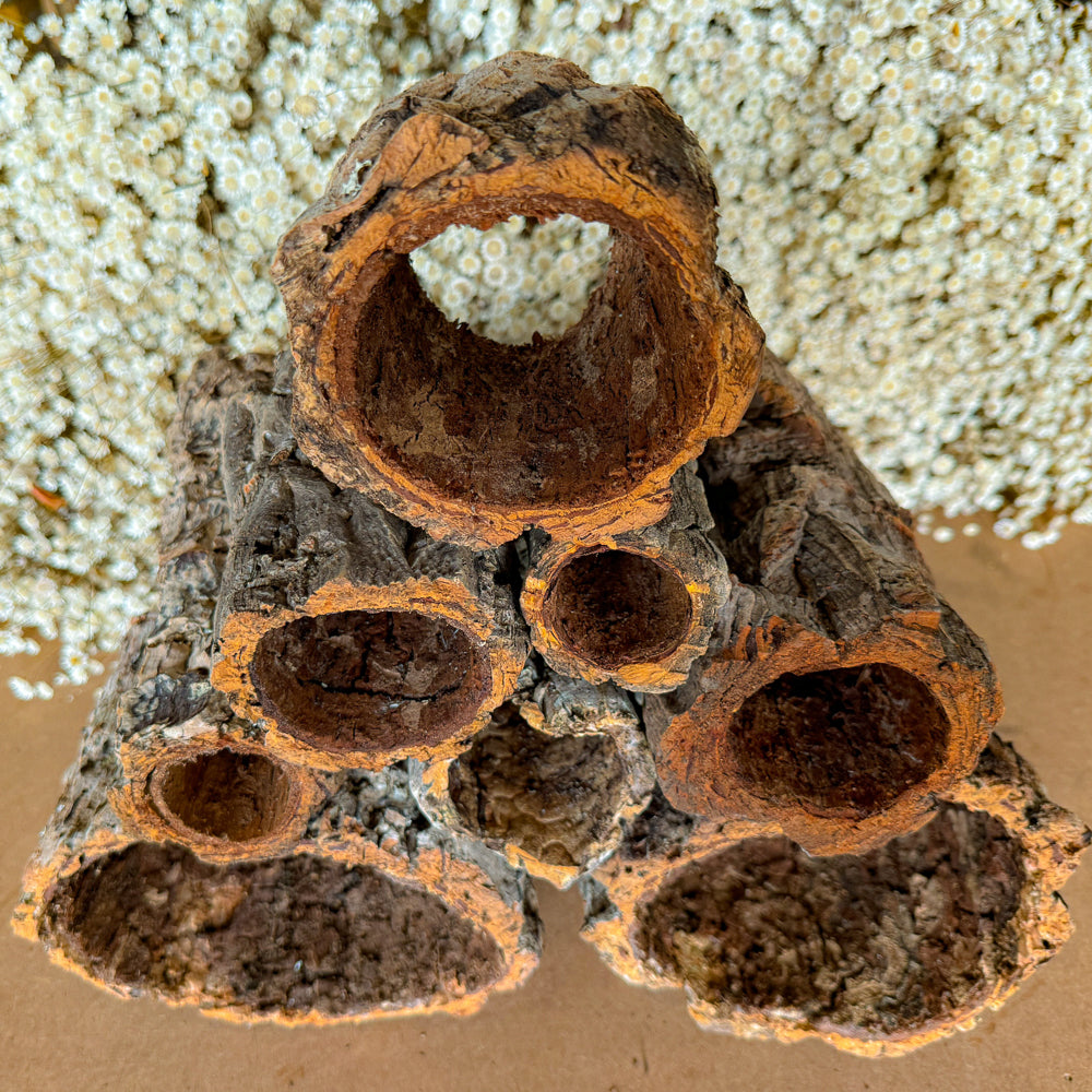 Cork Bark's