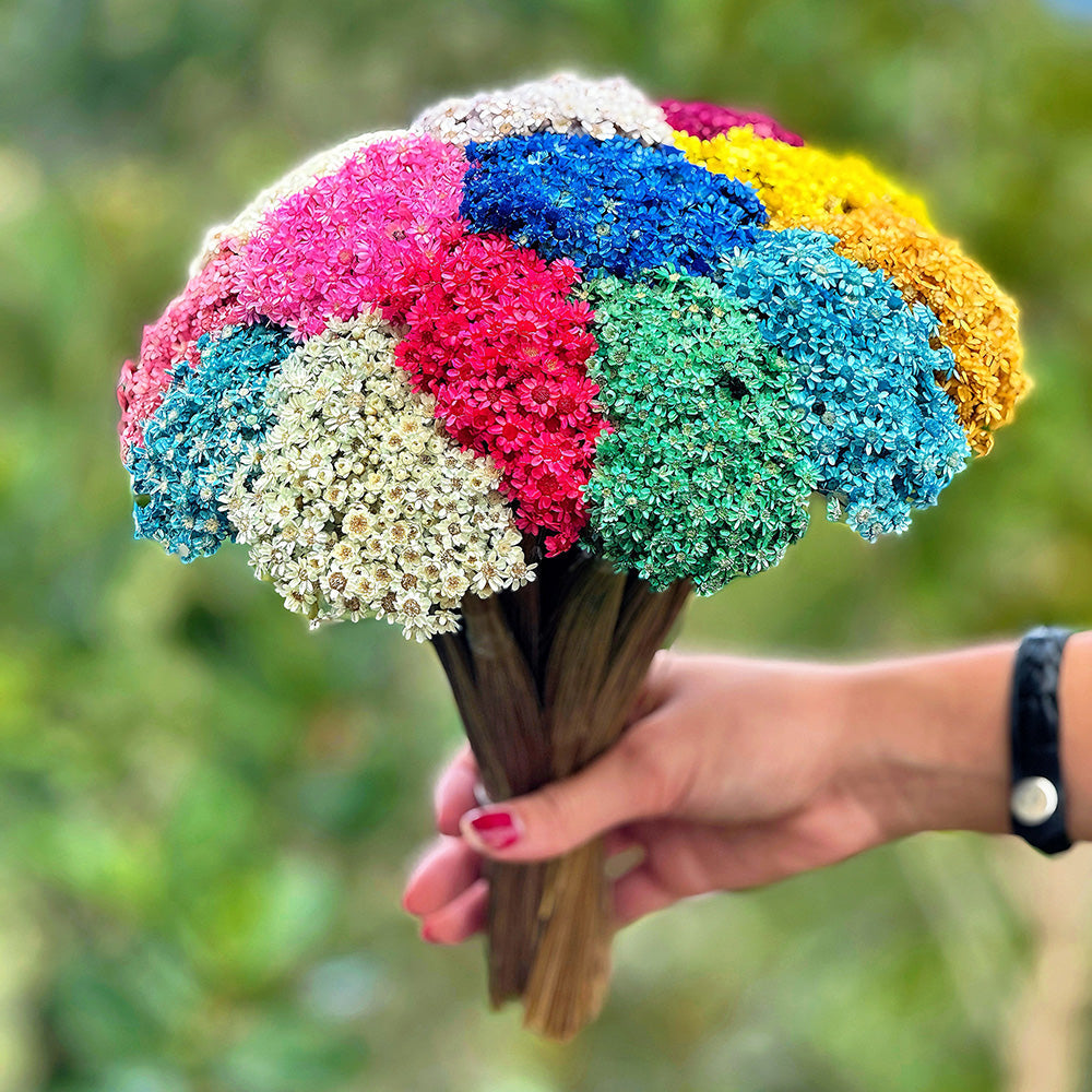 Flores Sempre Vivas